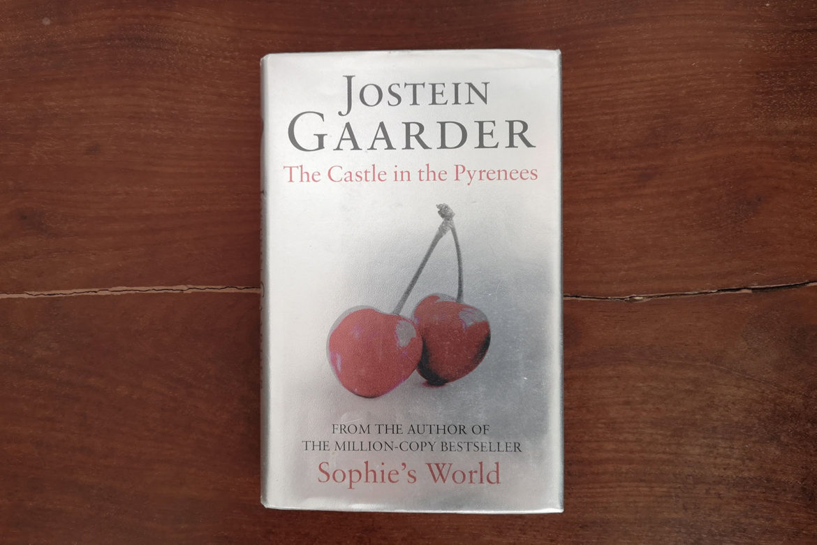 Cover of The Castle In The Pyrenees by Jostein Gaarder